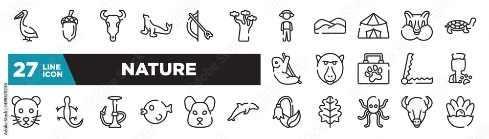 set of nature icons in outline style. thin line web icons such as pelican, baobab, jaima tent, baboon, lizard, hamster, bison editable vector.