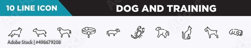 set of 10 outline dog and training icons. editable thin line icons such as bernese mountain, bullterrier, english mastiff, pet collar, dachshund, scorpio, scold the dog vector illustration.
