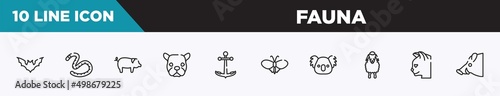 set of 10 outline fauna icons. editable thin line icons such as plain bat, earth worm, pig with round tail, face of staring dog, boat anchor, plain butterfly, koala head vector illustration.