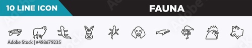 set of 10 outline fauna icons. editable thin line icons such as swimming turtle, sheep with curly wool, curved lizard, rabbit head, gecko, dog with floppy ears, whale swimming vector illustration.