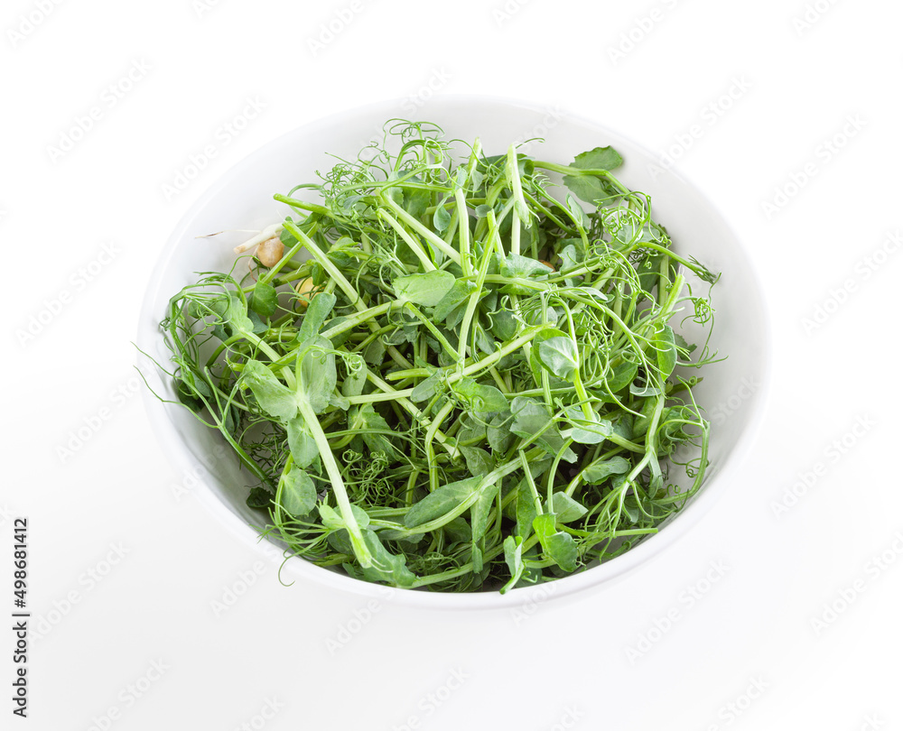 Fresh microgreens of pea in white bowl isolated on white background Fresh microgreens of pea in white bowl isolated on white background