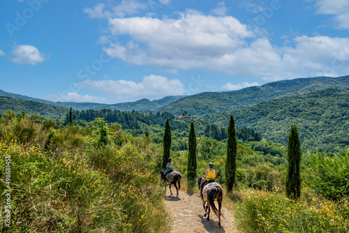 Zu Pferde in der Toscana photo