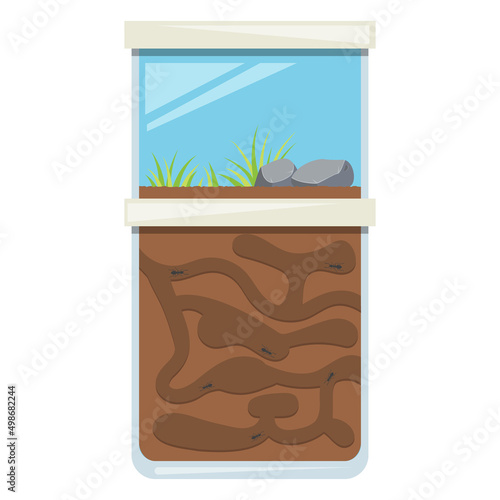 Ant farm toy. Tunnel for colony of insects. Home glass terrarium. Vector illustration.