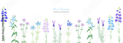 青い草花のナチュラルガーデン photo
