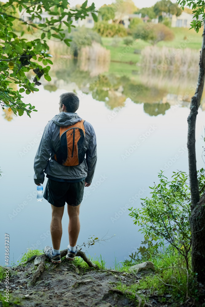 The views out here are unreal. Rearview shot of a young male athlete taking in the lake views while hiking in the forest.