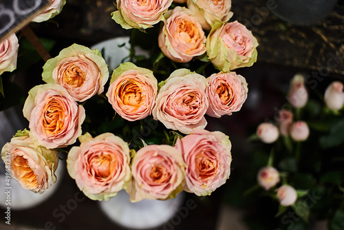 pink beige kahala roses close-up on a flower shop photo
