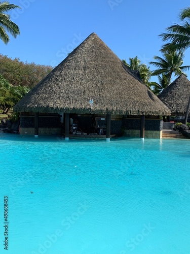 tropical resort swimming pool