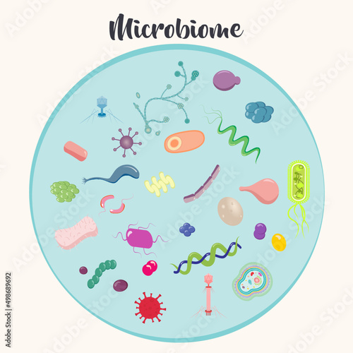 Background illustration of microbiome 