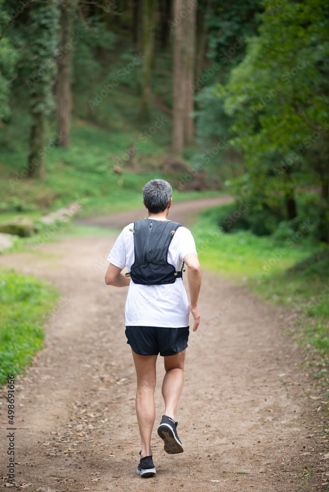 Back view of man jogging in forest. Sporty person in sportive clothes exercising outdoors. Sport, hobby concept Back view of man jogging in forest. Sporty person in sportive clothes exercising outdoors. Sport, hobby concept