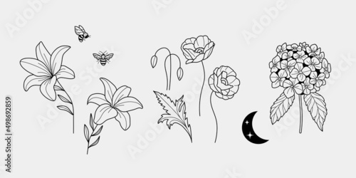 Hand drawn elegant hydrangea, lily and poppy flowers, honey bee and moon. Set of aesthetic floral elements, moon and bee, perfect for logo design and branding. Night garden.