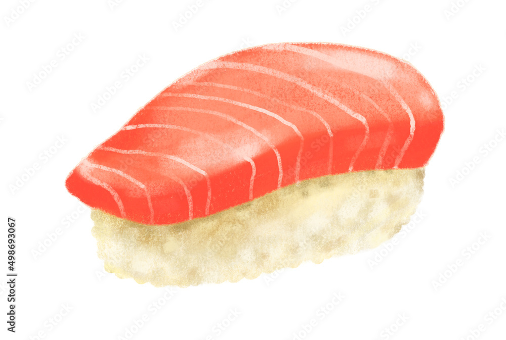 Hand drawing Japanese food toro blue fin tuna sushi nigiri