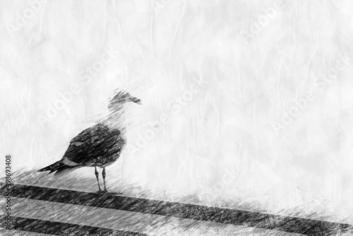 seagull sitting on a railing in pencil drawing style
