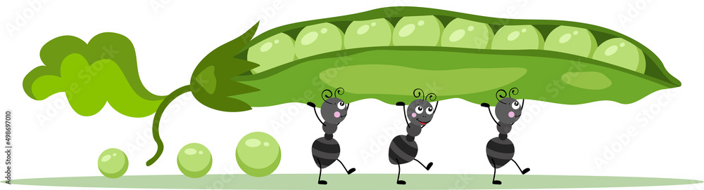 Fototapeta premium Cute ants carrying a green pod with peas