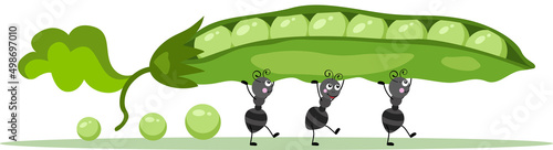 Cute ants carrying a green pod with peas