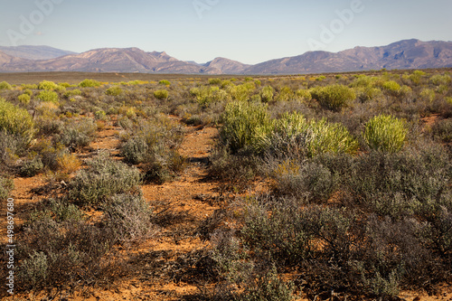 Tankwa Karoo National Park veldt and bushes with the mountains in the background