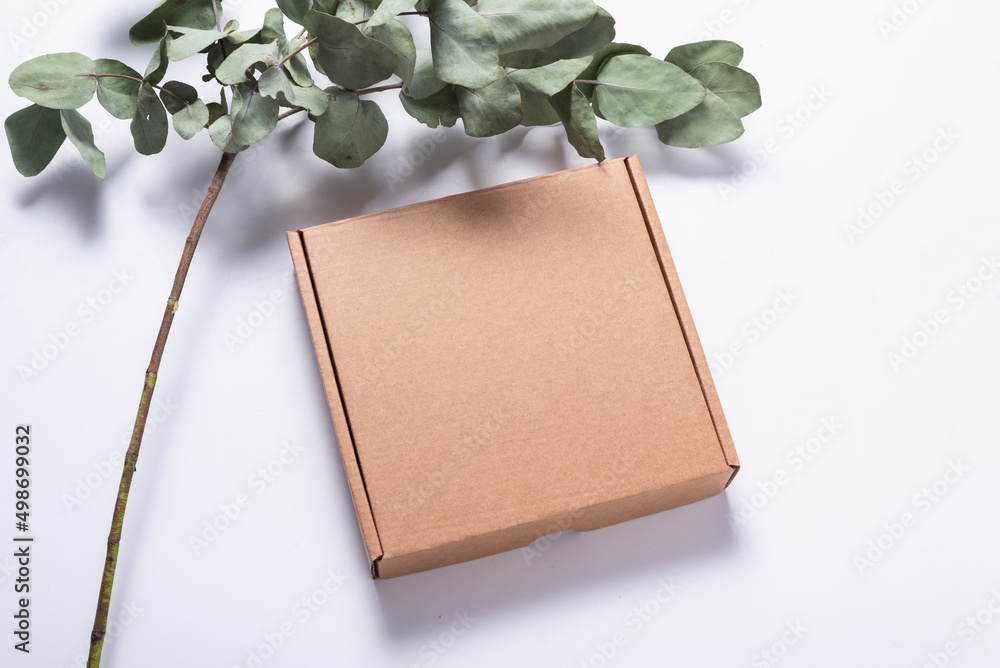 Brown Corrugated Cardboard Mailer Box on wooden desk with eucalyptus leaves Brown Corrugated Cardboard Mailer Box on wooden desk with eucalyptus leaves