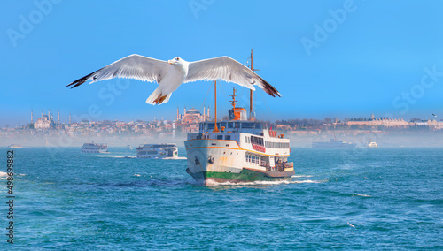 Famous historical peninsula of Istanbul with seagull - Hagia sophia, Sultanahmet Mosque - Istanbul, Turkey - Water trail foaming behind a passenger ferry boat - Bosphorus, Istanbul