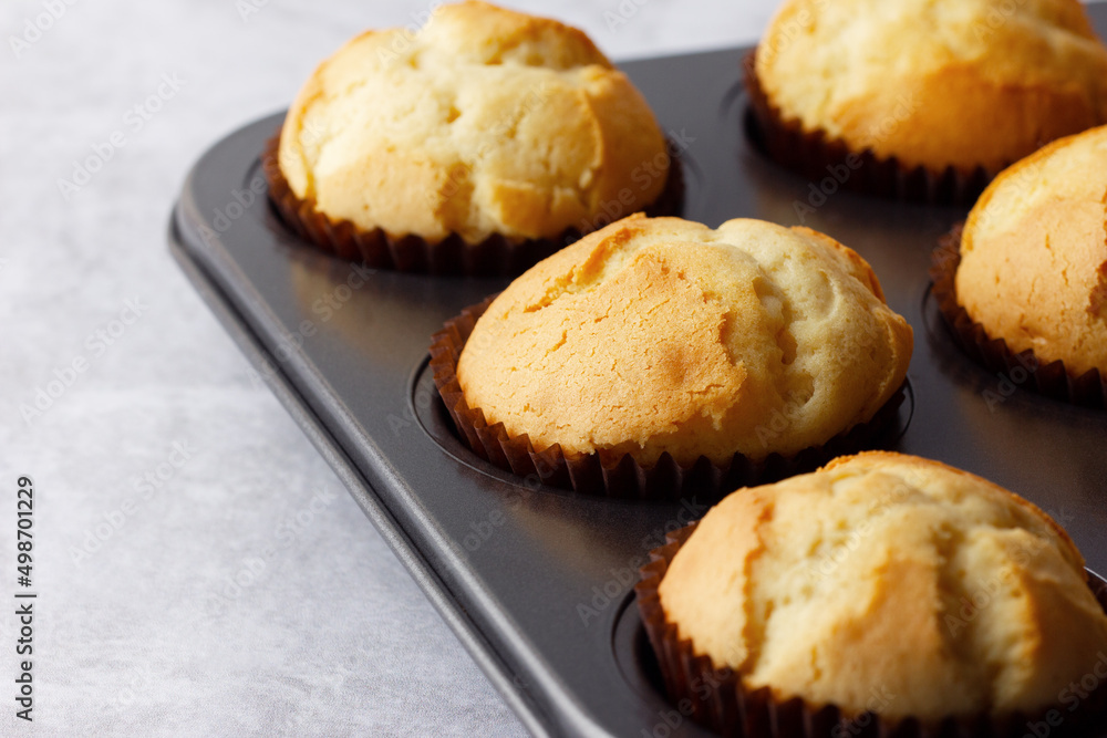 Delicious fresh homemade muffins in a baking tray. Tasty sweet breakfast, homemade cakes. Delicious fresh homemade muffins in a baking tray. Tasty sweet breakfast, homemade cakes.