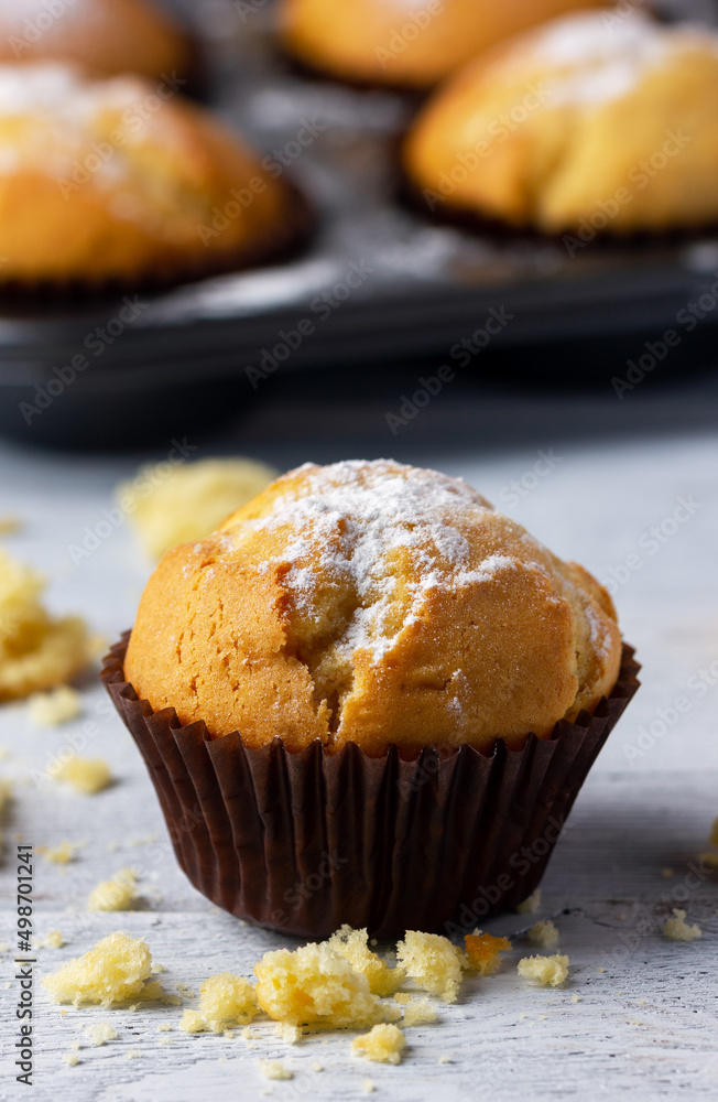 Homemade muffin against the backdrop of a baking tray. Homemade muffin against the backdrop of a baking tray.