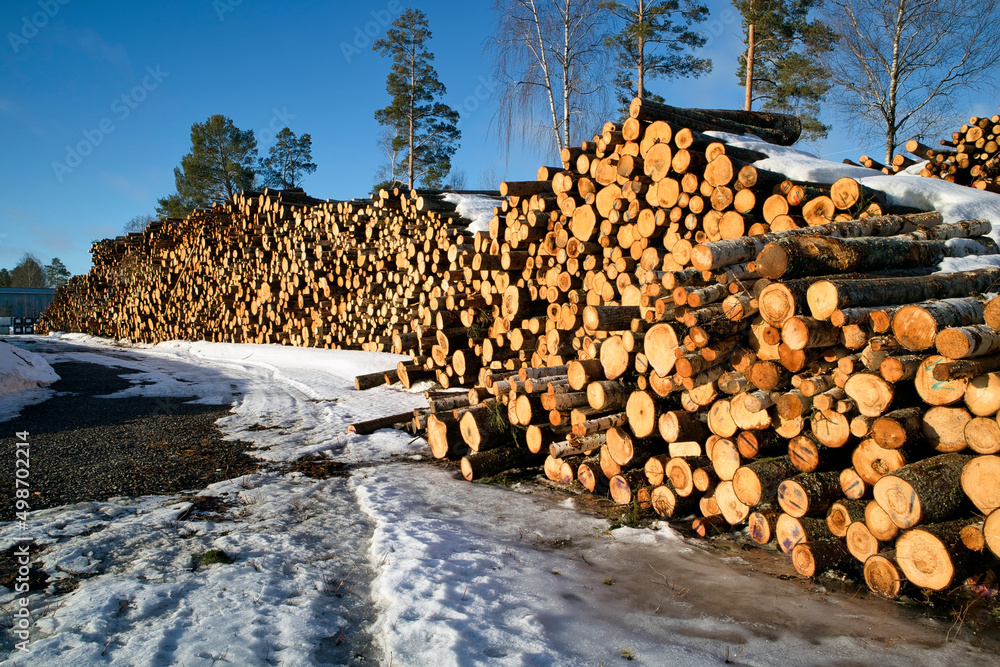 Stacks of tree trunks ready for transport in springtime, Finland