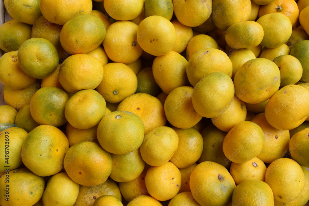 Orangen, Oranges Orangen, Oranges