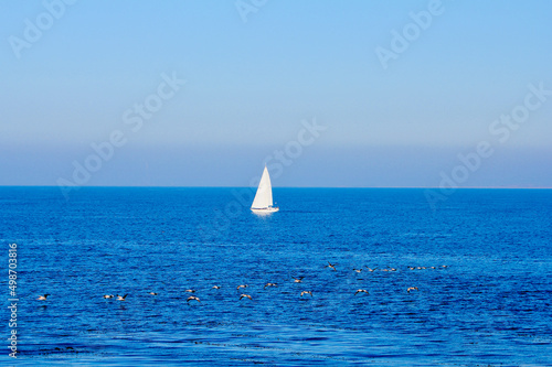 A single lonely sailboat in the middle of the blue ocean with seagulls flying near the surface from afar