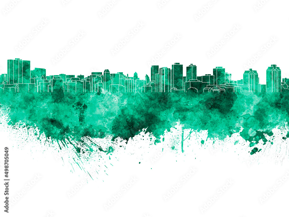 Obraz premium Halifax skyline in green watercolor on white background
