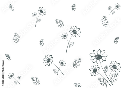 Chamomile Pattern vector illustration. Chamomile Flowers Botanical background for print on packing and textile