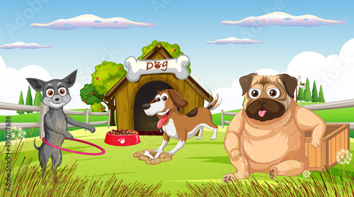 A group of different dog do various activities in the park