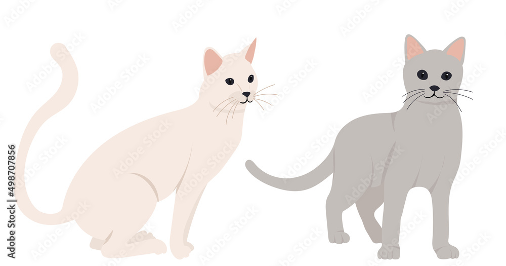 cats flat design, isolated, vector cats flat design, isolated, vector