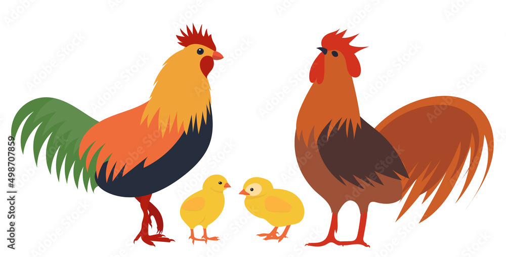 Fototapeta premium roosters and chicks flat design, isolated, vector