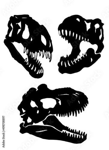 Graphical set of skulls silhouettes of dinosaur isolated on white background,vector elements