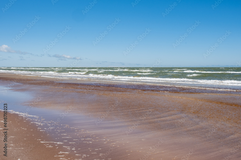 Baltic seaside view in summer