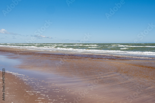 Fototapeta Naklejka Na Ścianę i Meble -  Baltic seaside view in summer