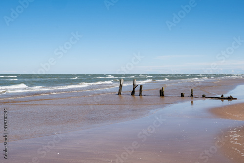 Baltic seaside view in summer