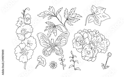 mallow flowers butterfly insects garden anemones
 leaves exotic flowering plants graphic illustration hand-drawn set on a white background separately coloring for children