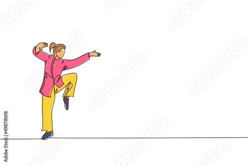 One continuous line drawing young wushu master woman, kung fu warrior in kimono pose stance balance on training. Martial art sport contest concept. Single line draw graphic design vector illustration
