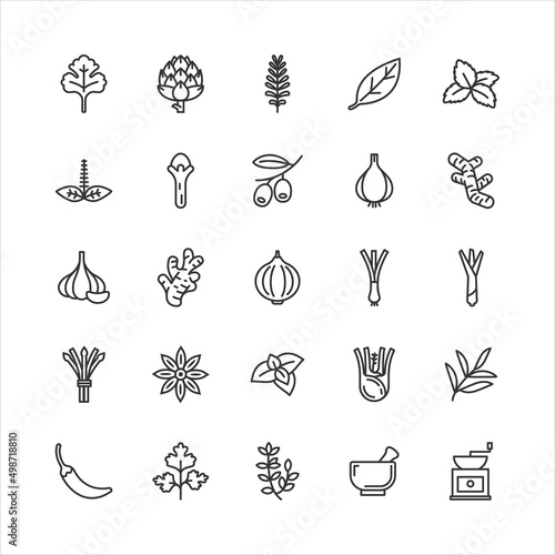 Bundle of spices and herbs icon vector set