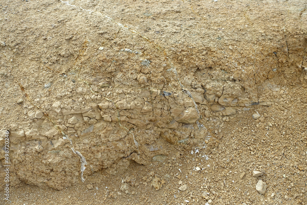 soil typesyellow soil type, sandy and hard rock yellow soil, soil