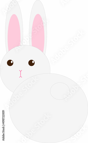 Vector illustration of bunny isolated