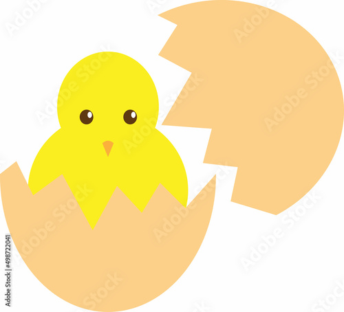 Vector illustration of a chick hatching from an egg