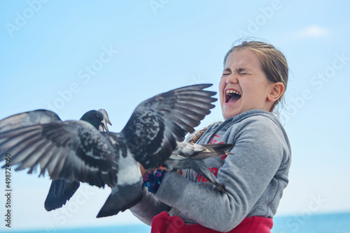 A girl feeds pigeons with her hands. Playing with birds. Urban animals.