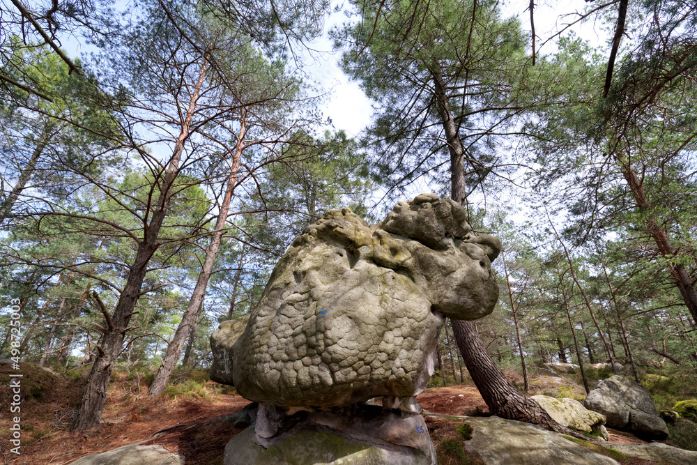 Famous rock formations in the belvederes path. Fontainebleau forest 
