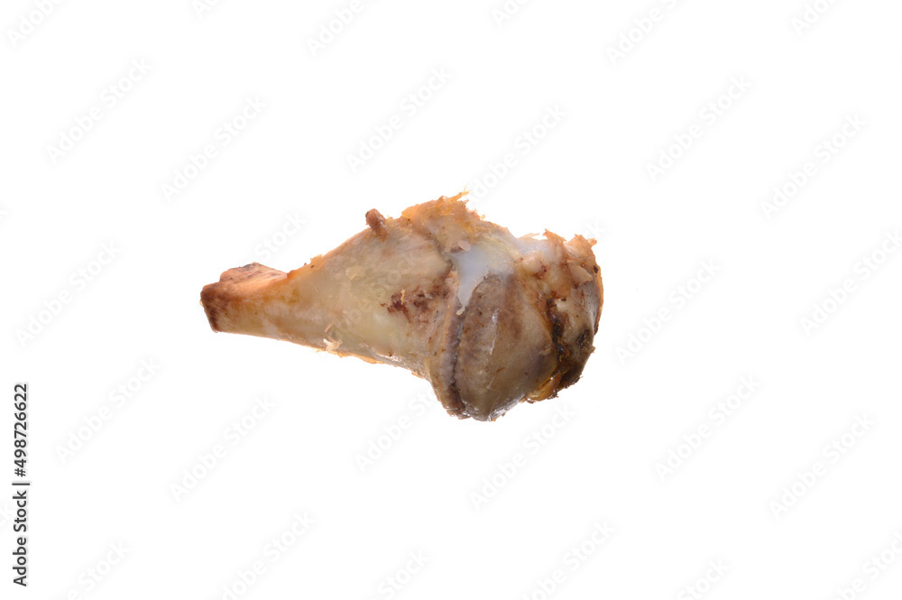 pork bone isolated on white background - close-up pork bone isolated on white background - close-up