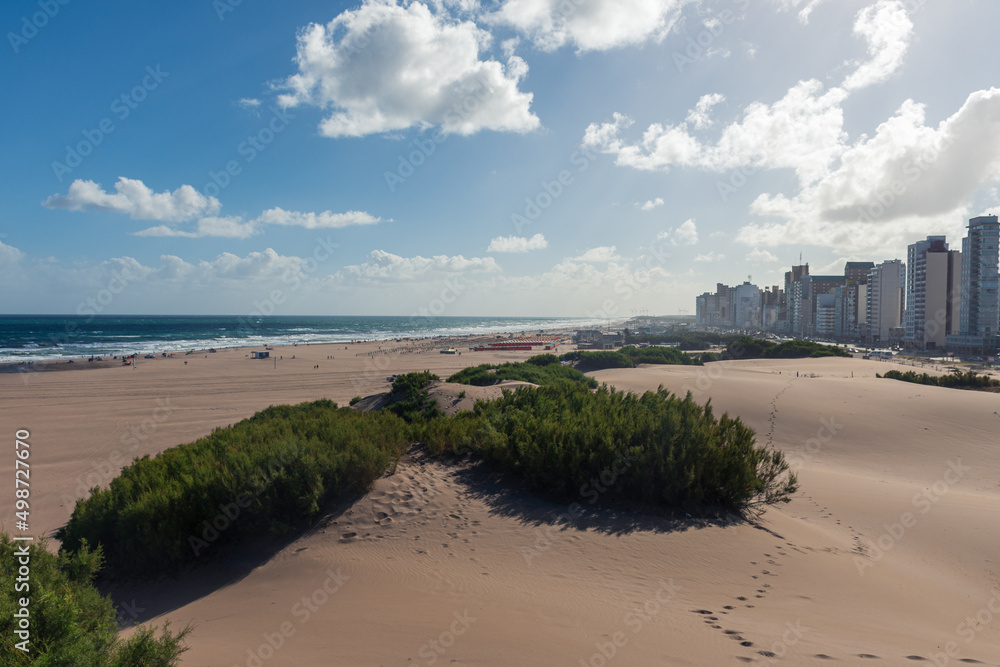 Panoramic view of the beach and a coastal town with selective focus on the dune bushes.