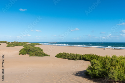 Fototapeta Naklejka Na Ścianę i Meble -  Panoramic view of the beach with selective focus on the dune bushes.