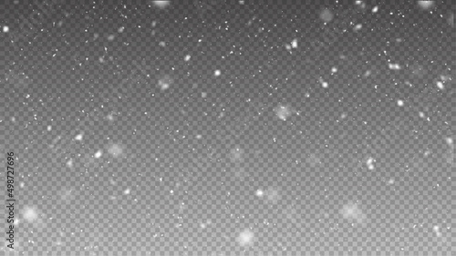 Vector snowfall isolated. Winter background. Snow overlay illustration. Snowflakes and ice.