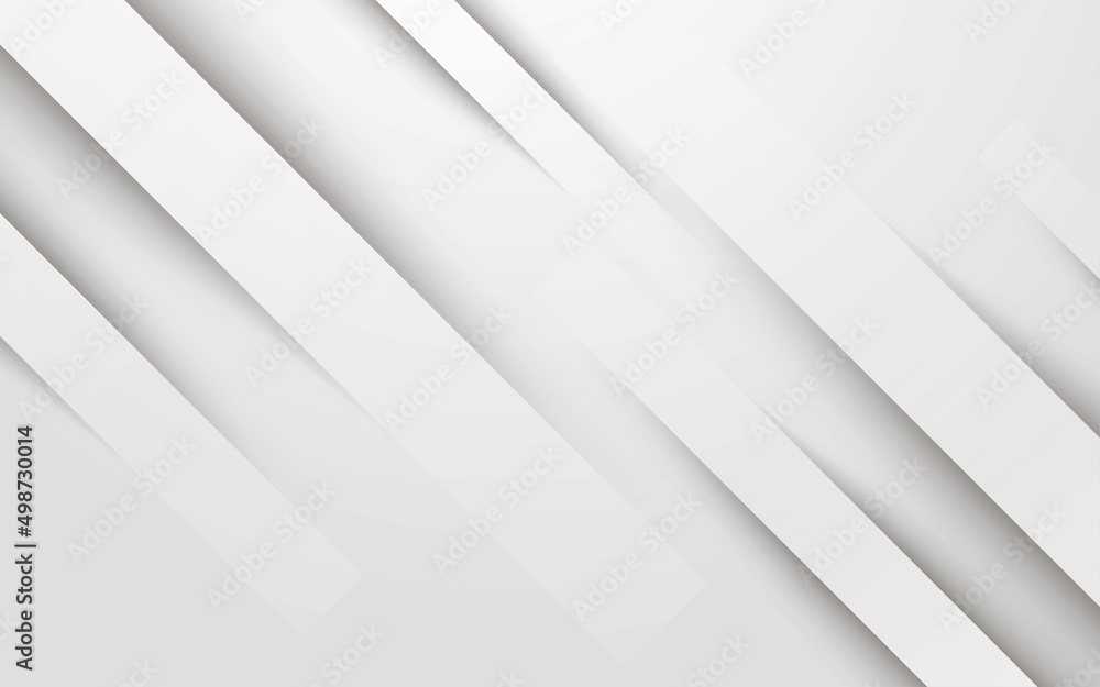 Fototapeta premium modern abstract white diagonal stripe shadow shape composition background. eps10 vector