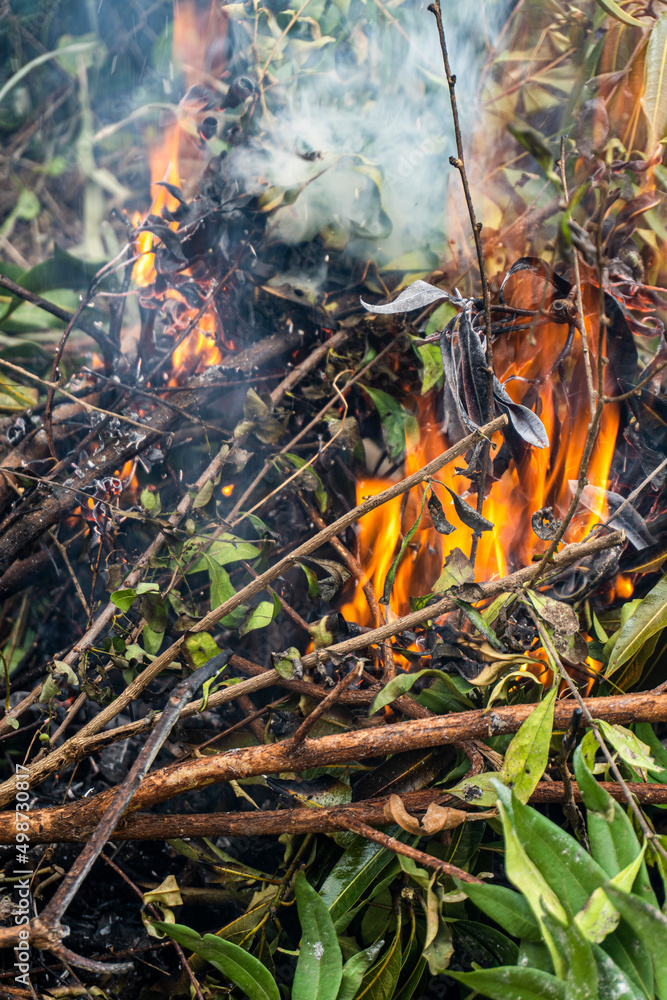 Dried leaves on fire on ground.