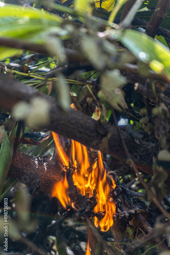 Dried leaves on fire on ground.